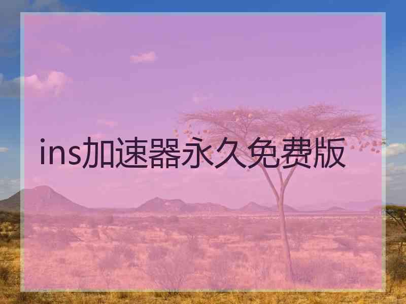 ins加速器永久免费版
