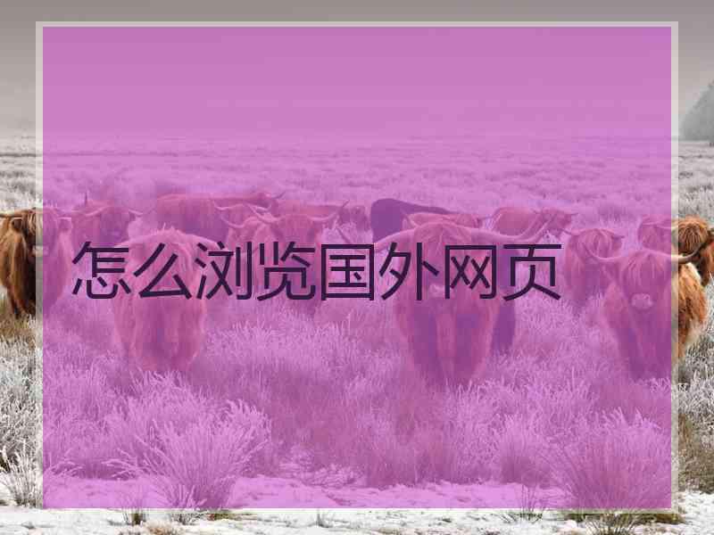 怎么浏览国外网页