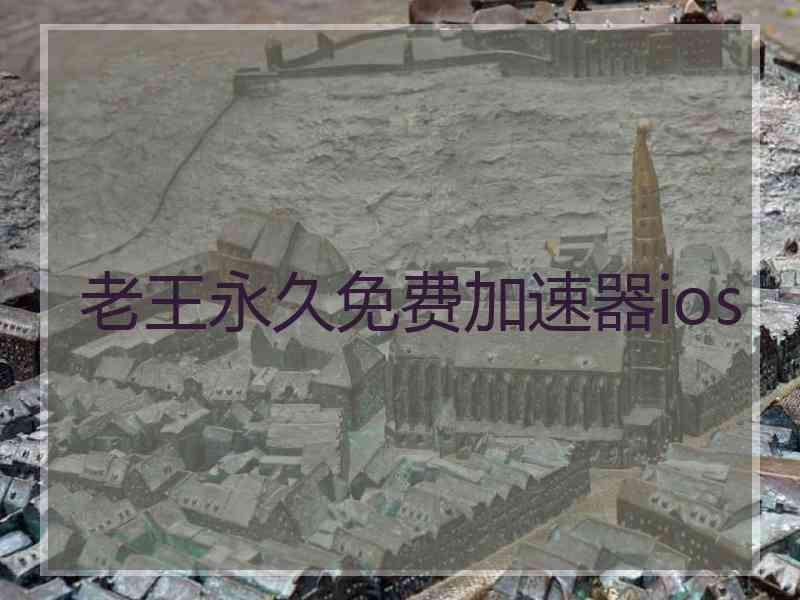 老王永久免费加速器ios
