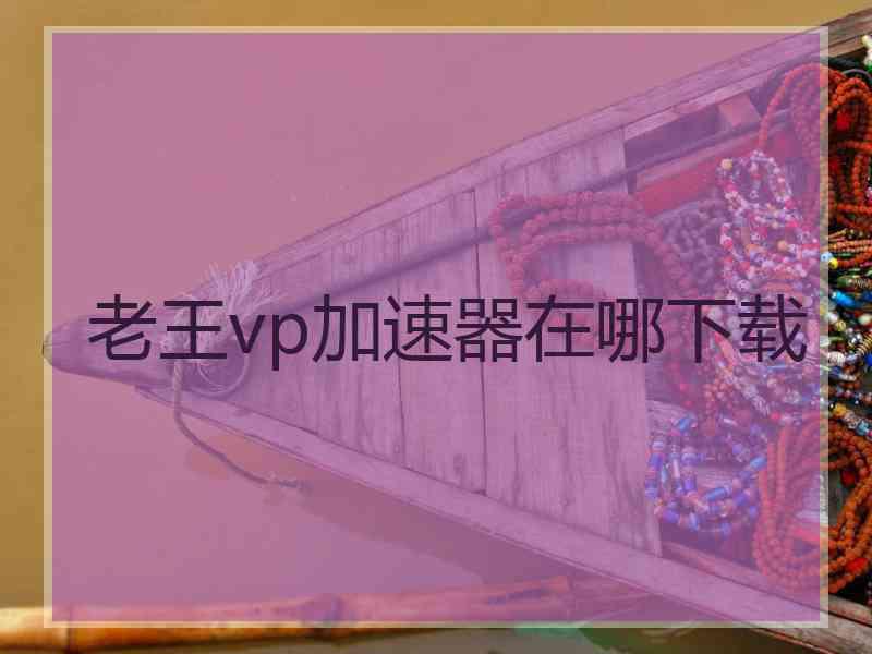 老王vp加速器在哪下载