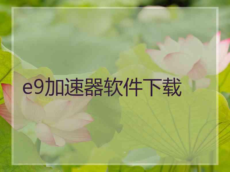 e9加速器软件下载
