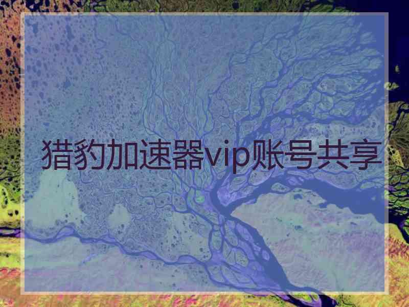 猎豹加速器vip账号共享