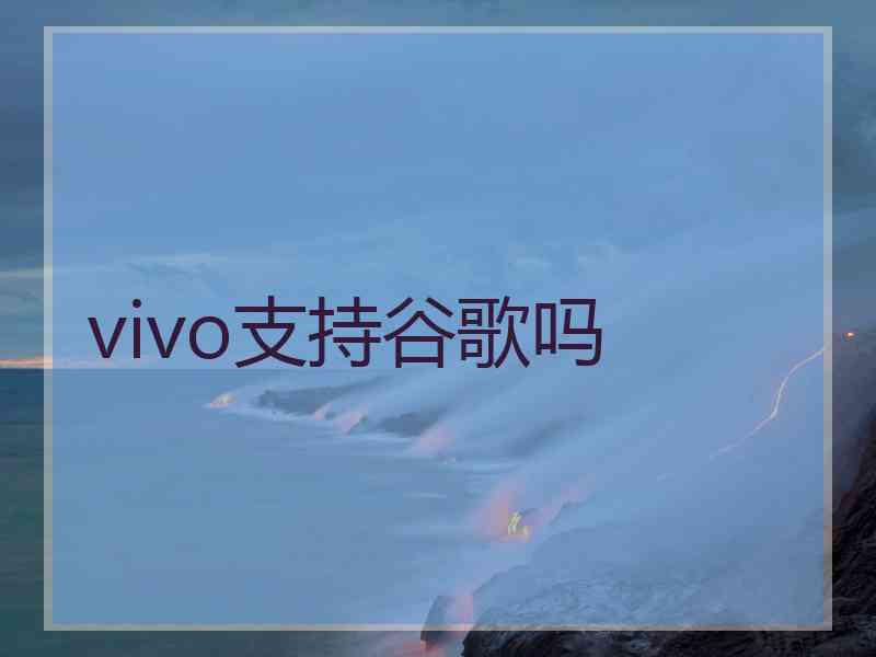 vivo支持谷歌吗