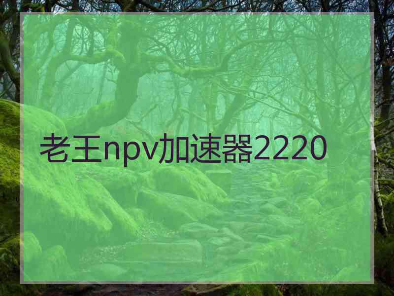 老王npv加速器2220