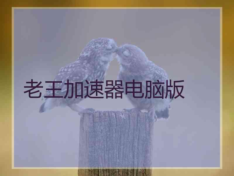 老王加速器电脑版