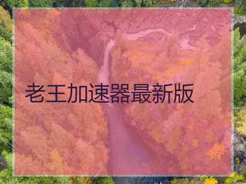 老王加速器最新版