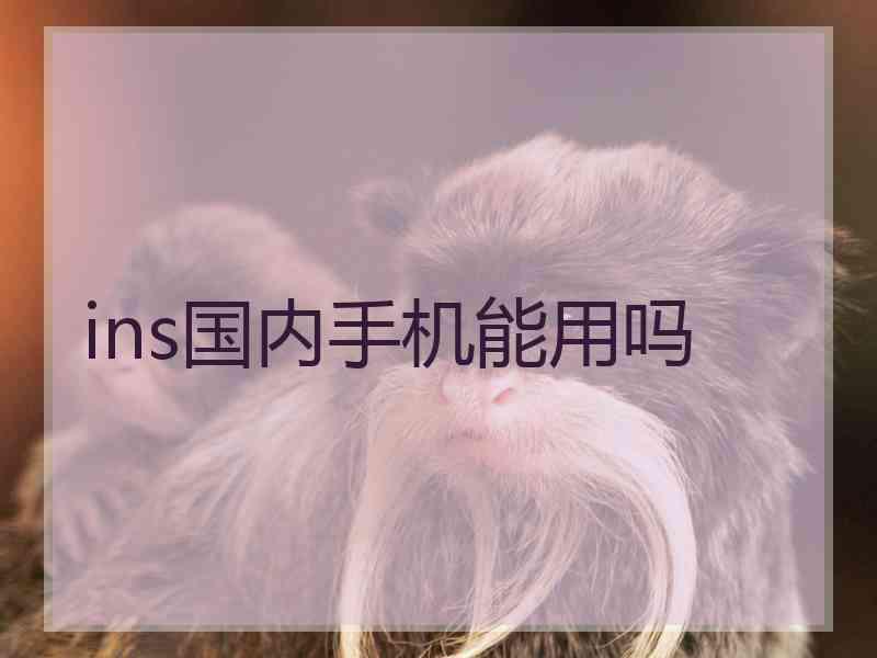 ins国内手机能用吗
