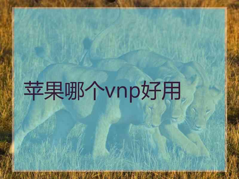 苹果哪个vnp好用
