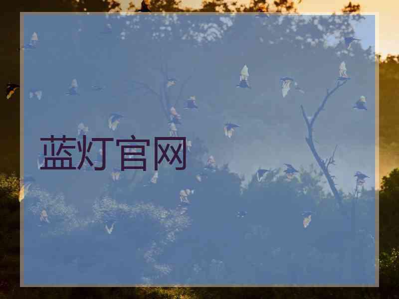 蓝灯官网
