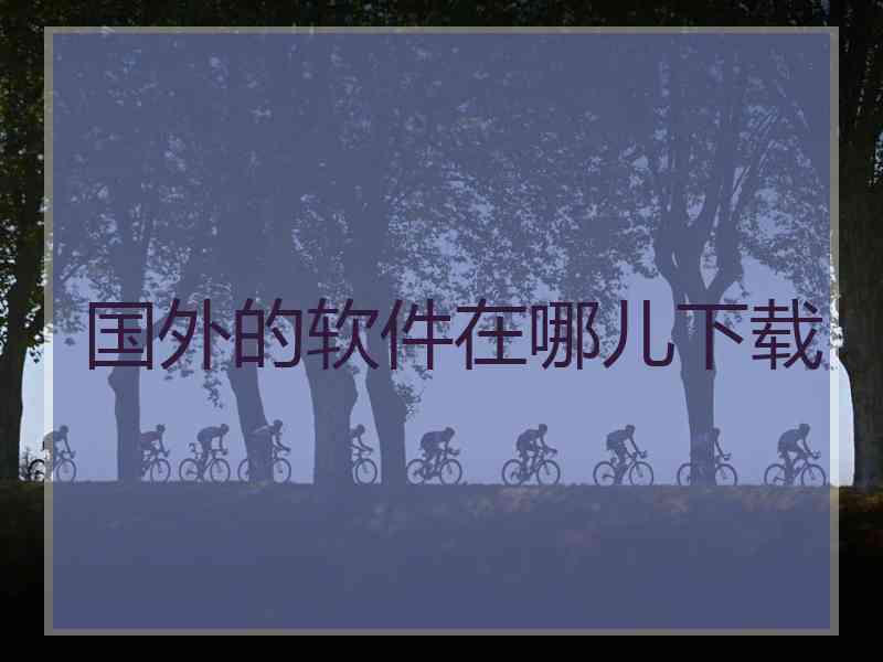 国外的软件在哪儿下载