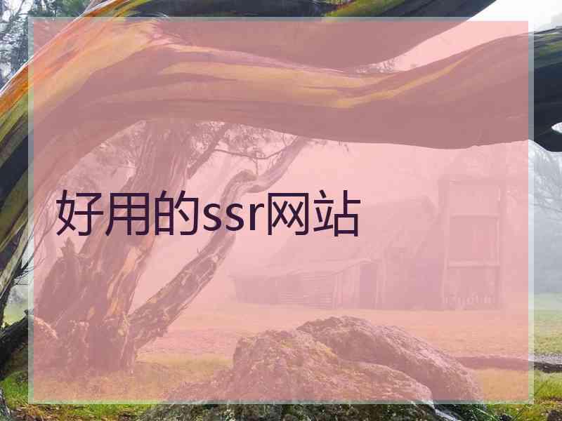 好用的ssr网站