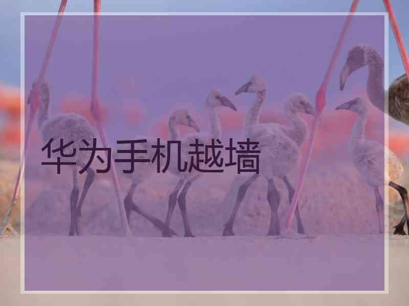 华为手机越墙