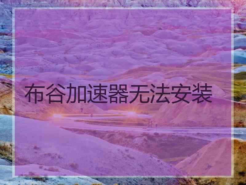 布谷加速器无法安装