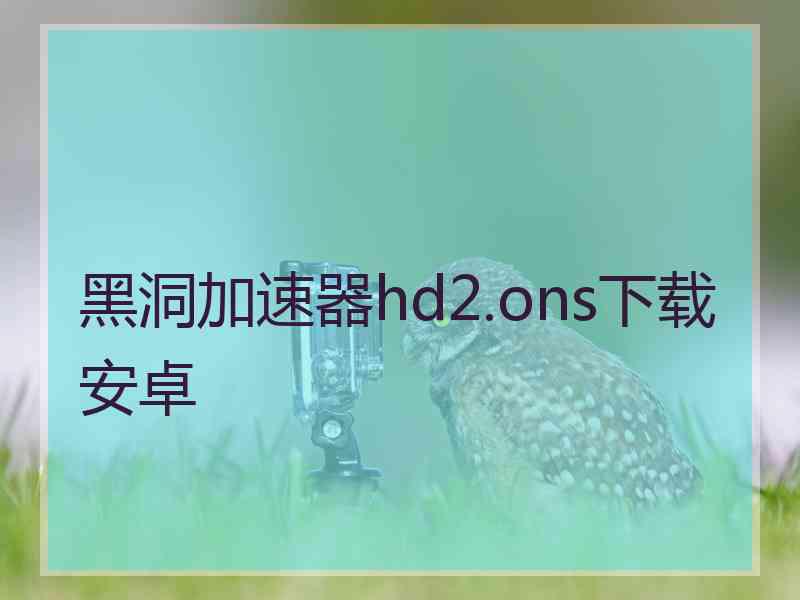 黑洞加速器hd2.ons下载安卓