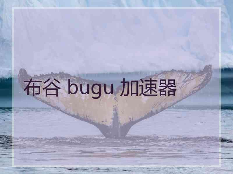 布谷 bugu 加速器