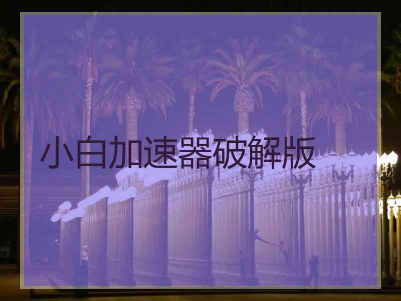 小白加速器破解版