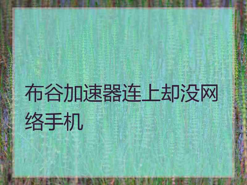 布谷加速器连上却没网络手机