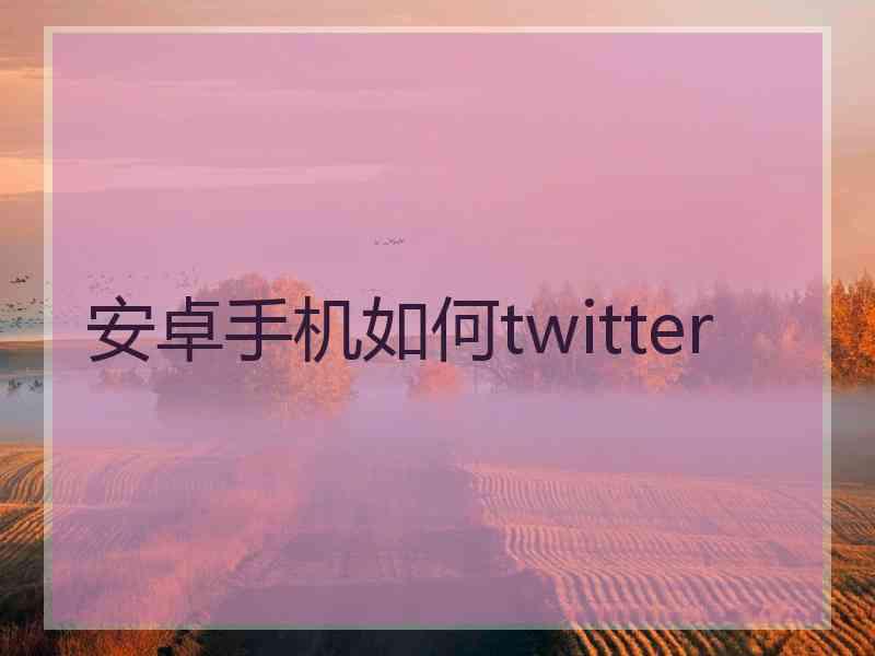 安卓手机如何twitter