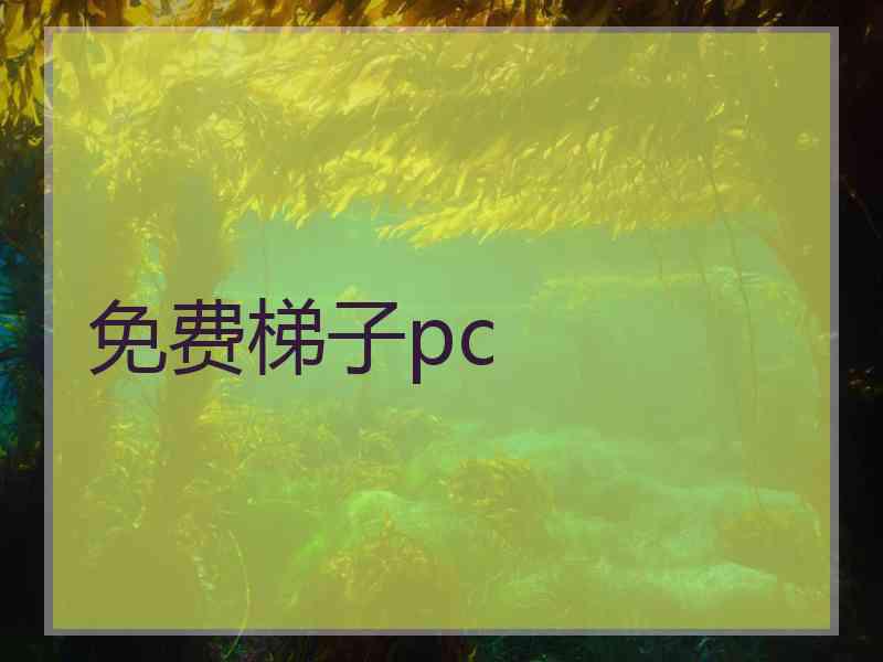 免费梯子pc