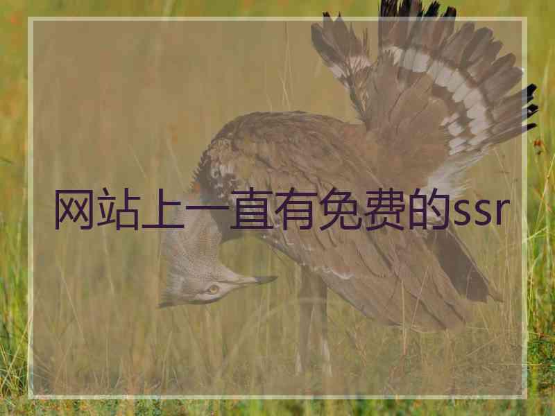 网站上一直有免费的ssr