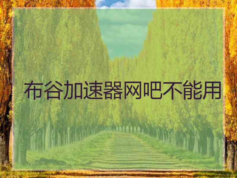 布谷加速器网吧不能用