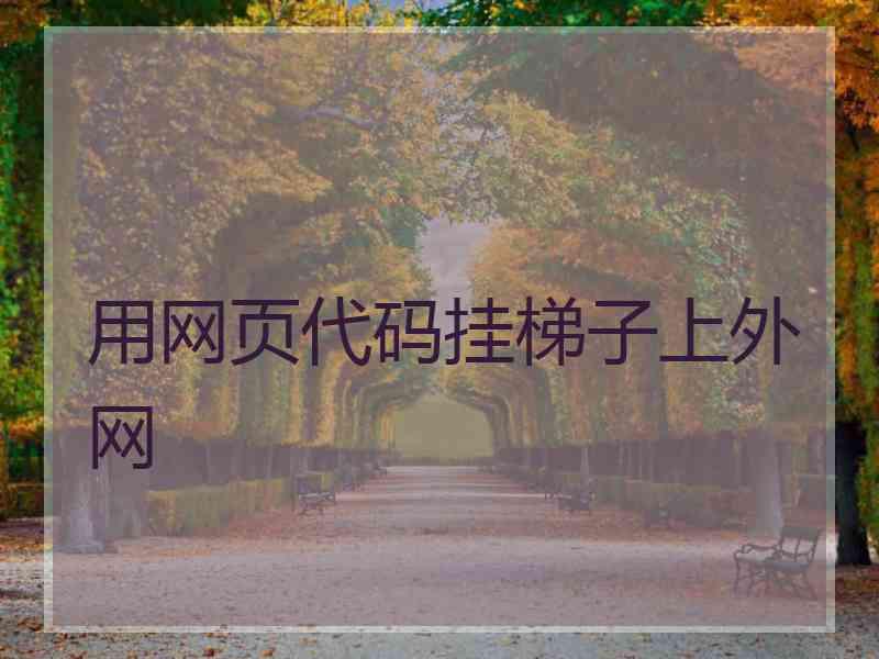 用网页代码挂梯子上外网