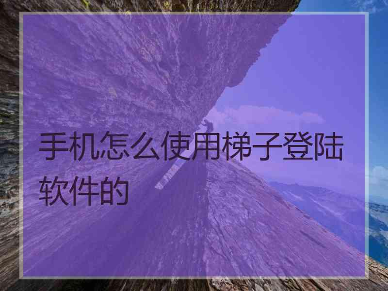 手机怎么使用梯子登陆软件的