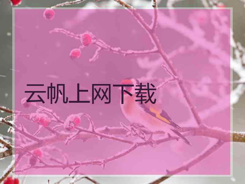 云帆上网下载