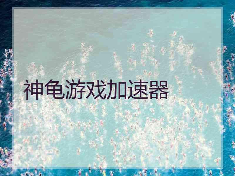 神龟游戏加速器