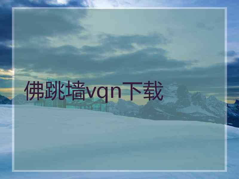 佛跳墙vqn下载
