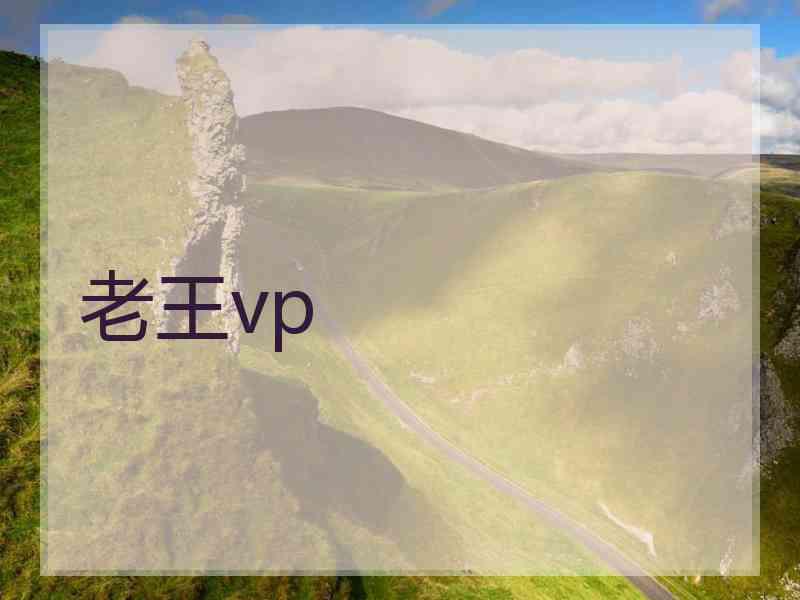 老王vp