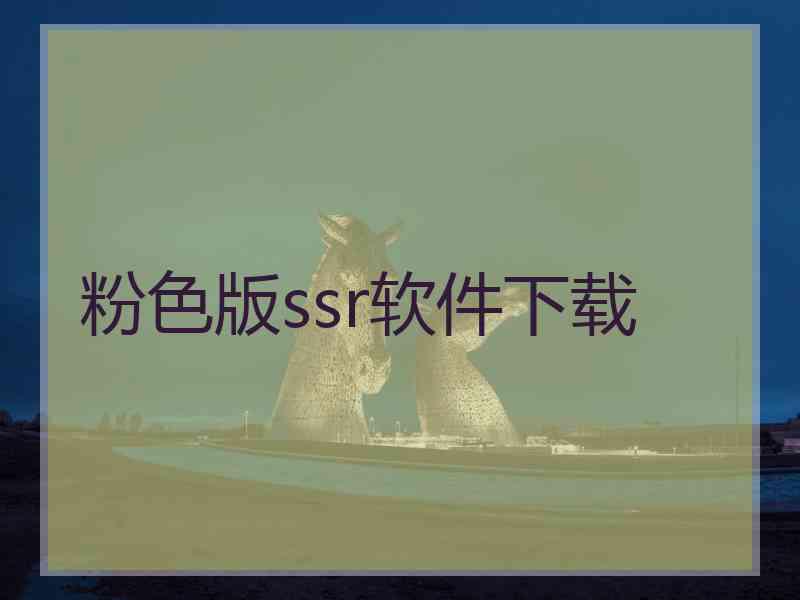 粉色版ssr软件下载