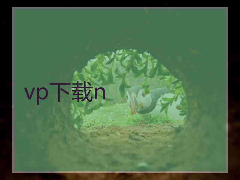 vp下载n