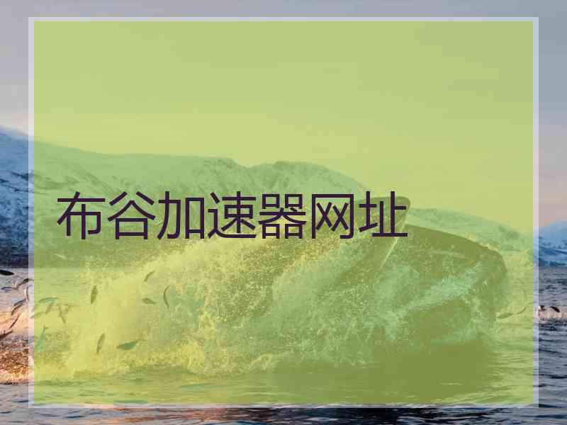 布谷加速器网址