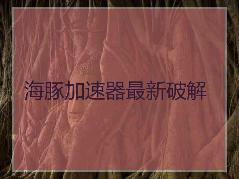 海豚加速器最新破解