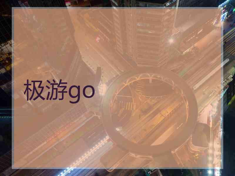 极游go