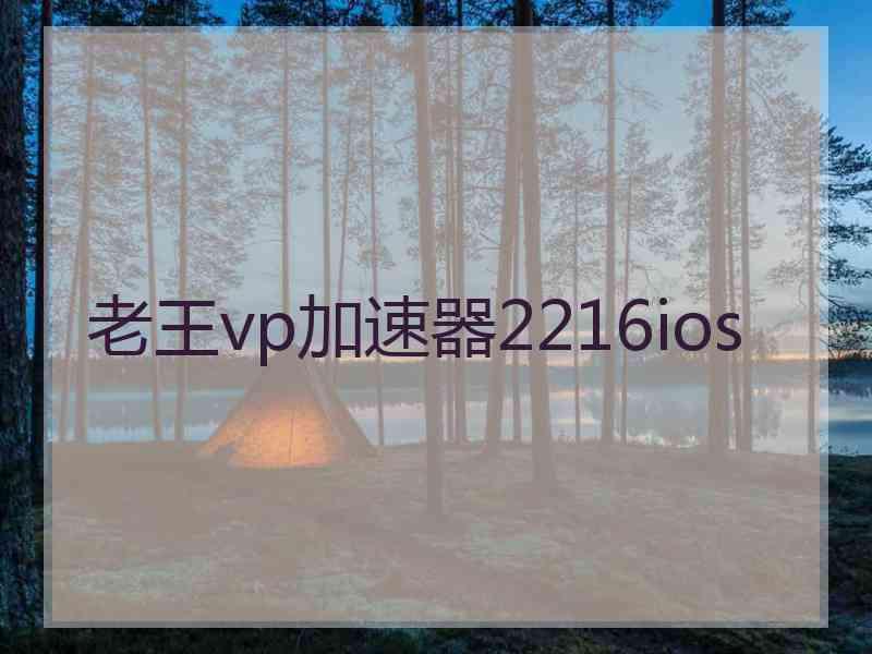 老王vp加速器2216ios