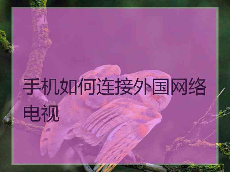 手机如何连接外国网络电视