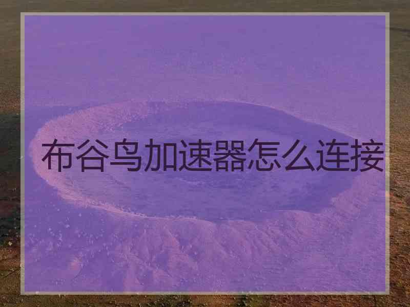 布谷鸟加速器怎么连接