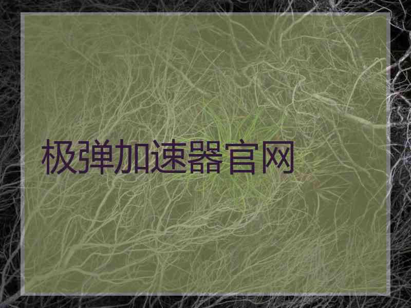 极弹加速器官网