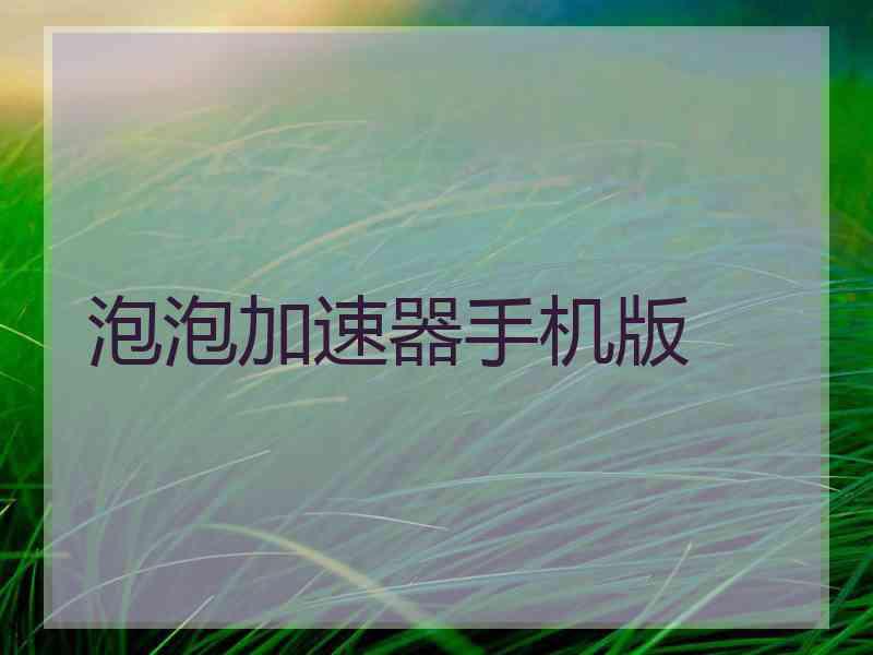 泡泡加速器手机版