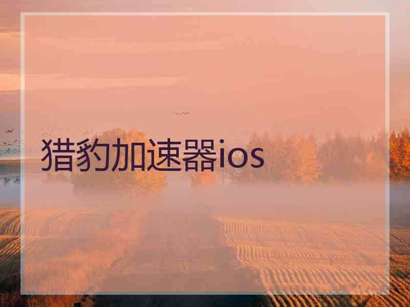 猎豹加速器ios