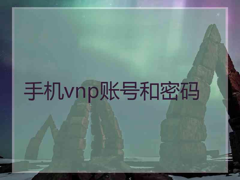 手机vnp账号和密码