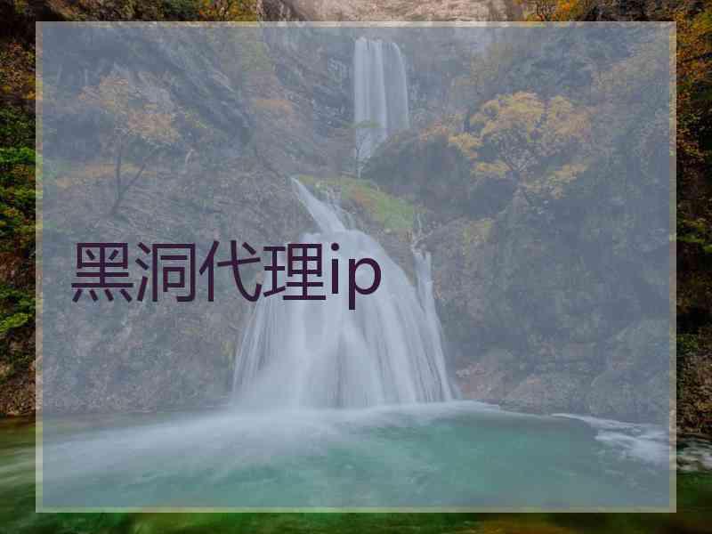 黑洞代理ip