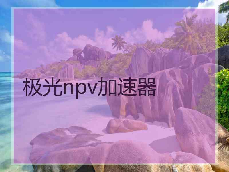 极光npv加速器