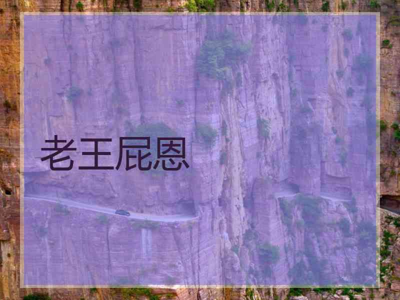 老王屁恩