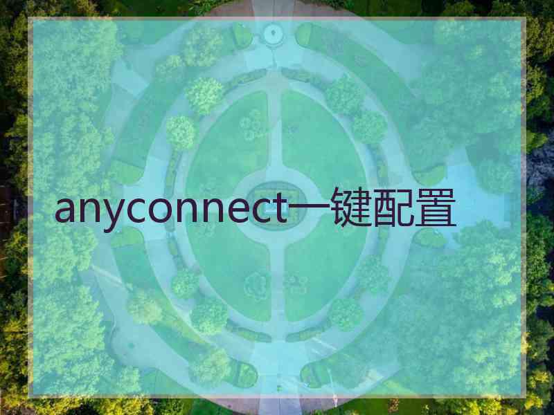anyconnect一键配置